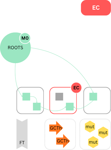 Java: JVM: ZGC Timeline EC