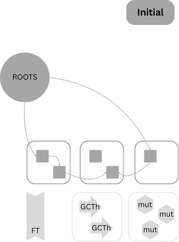 Java: JVM: ZGC Timeline Init