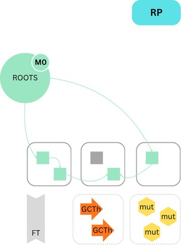 Java: JVM: ZGC Timeline RP