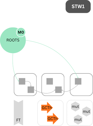 Java: JVM: ZGC Timeline STW1