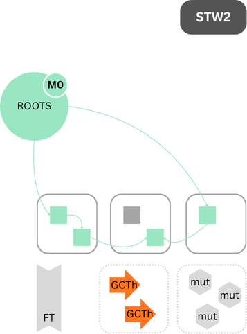 Java: JVM: ZGC Timeline STW2