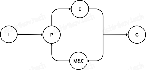 PMI: Process Approach
