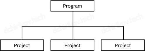 PMI: Project Program