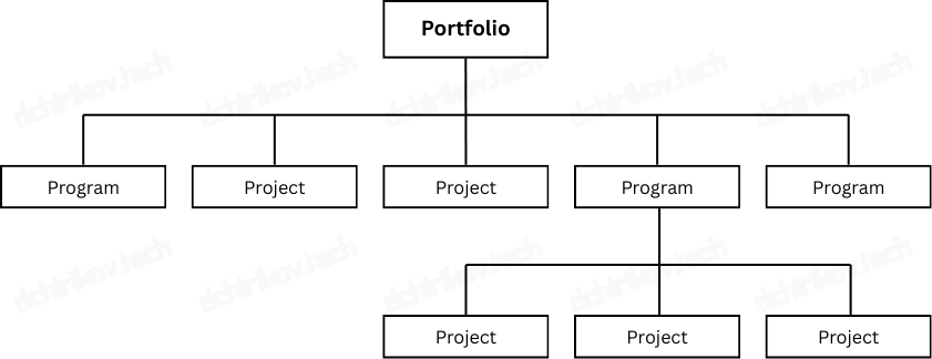 PMI: Project Portfolio