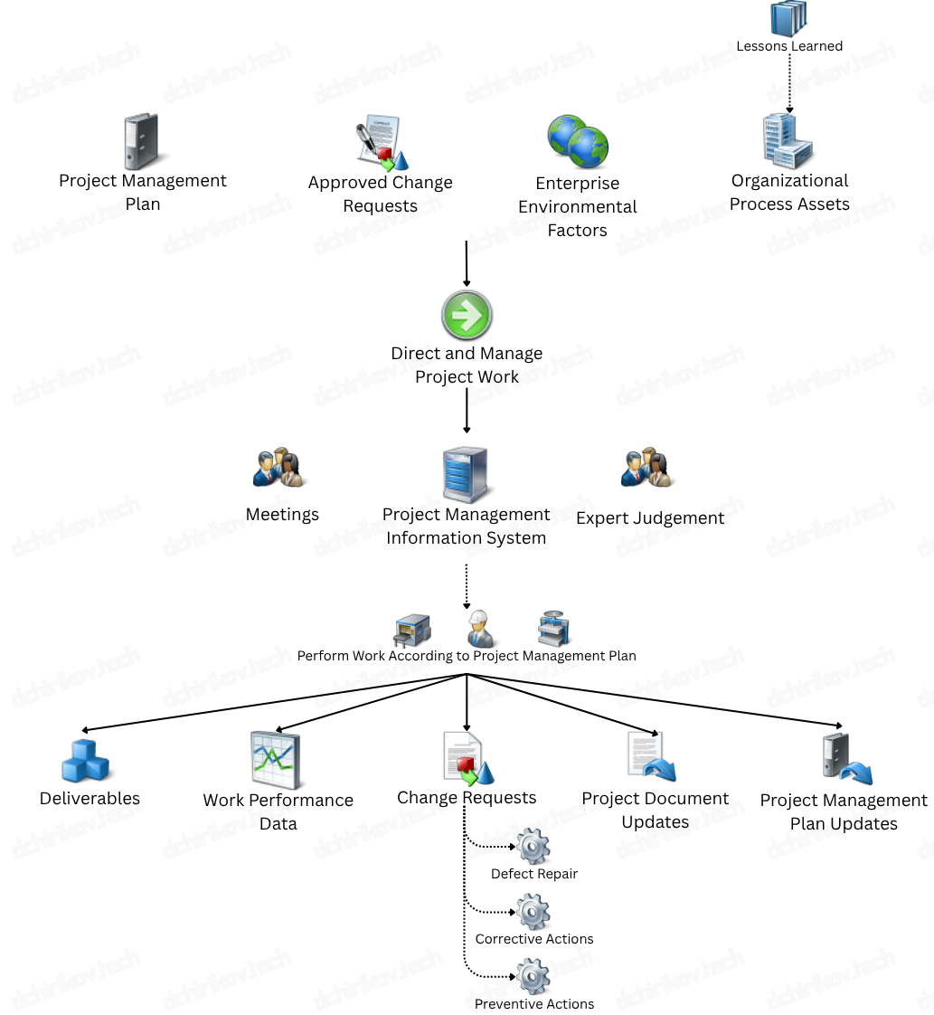 PMI: Direct and Manage Project Work