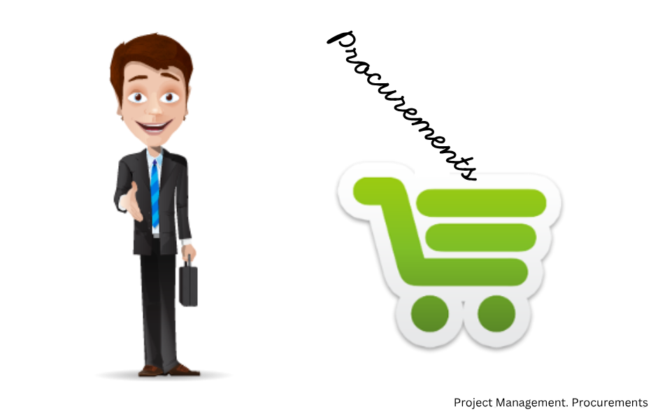 PMI: 12 Procurements